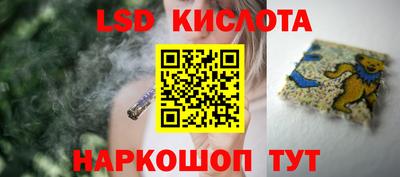амф Новокубанск