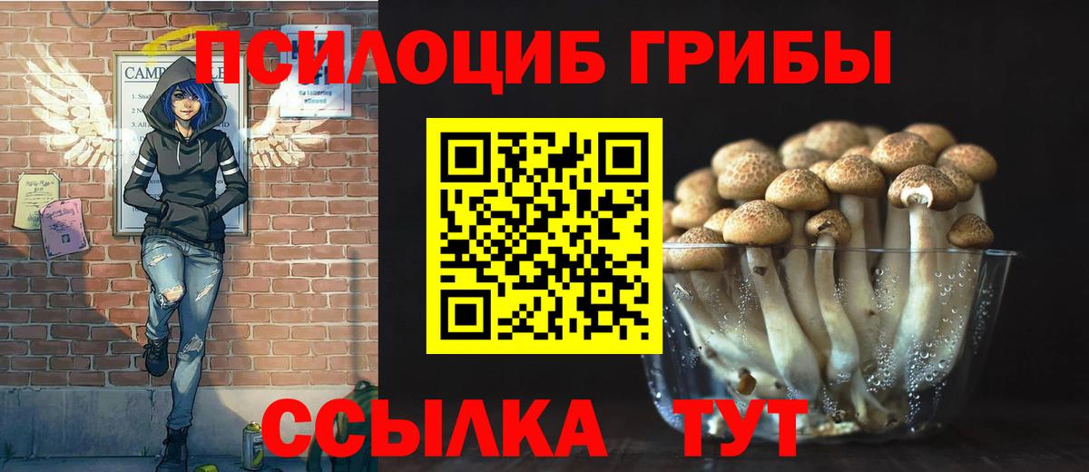 Саранск  Псилоцибиновые грибы прущие грибы  Вход с VPN 